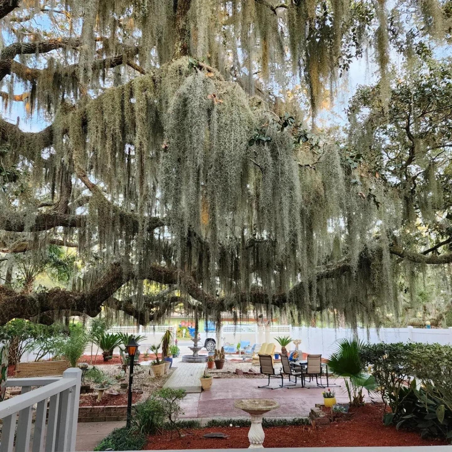 Tybee Island Inn Bed & Breakfast Eksteriør bilde